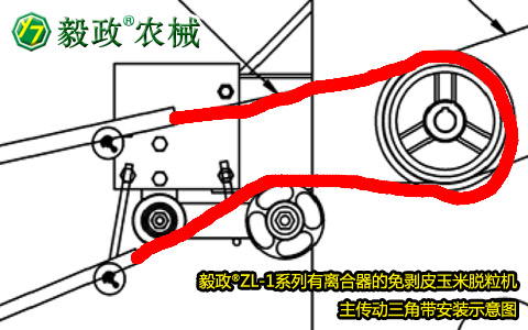 毅政牌ZL1系列有離合器的免剝皮玉米脫粒機(jī)，主傳動三角帶正確安裝